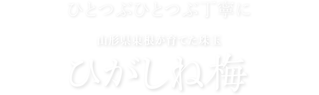 ひがしね梅